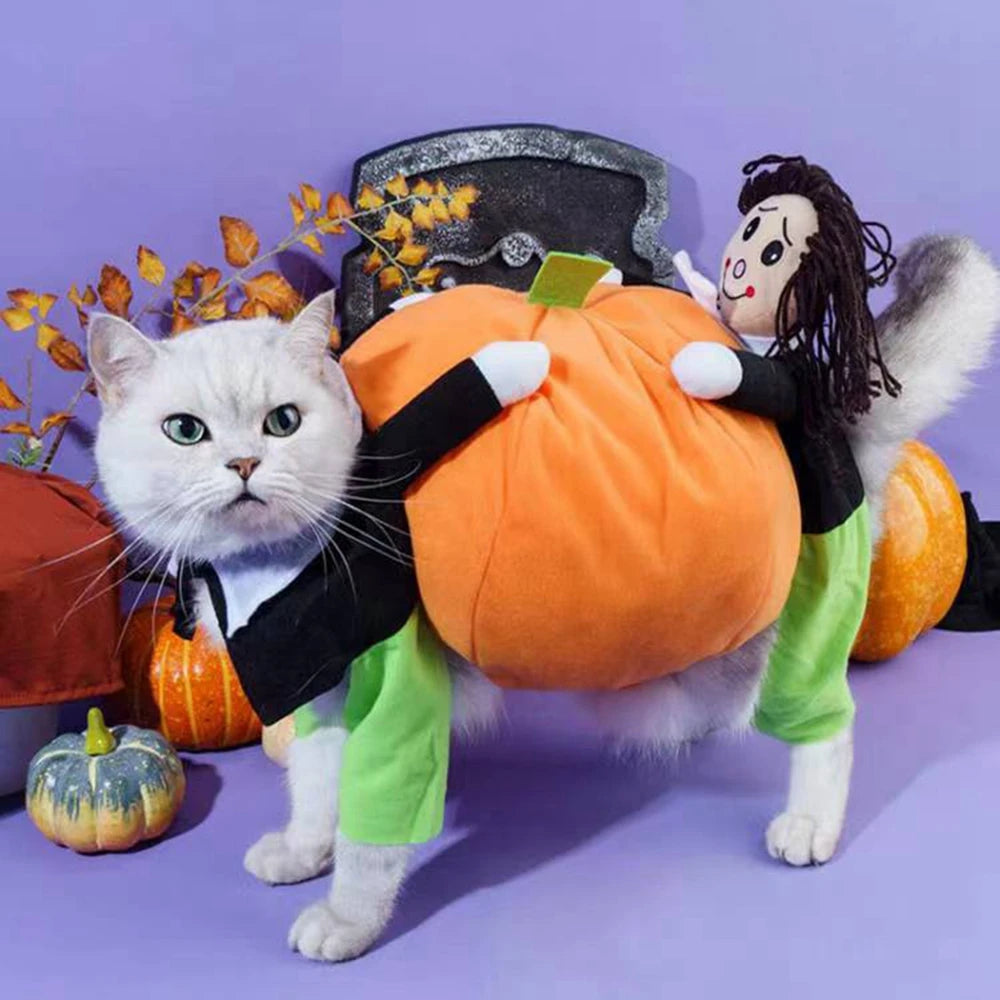 Pumpkin Pet Cosplay Halloween Costume