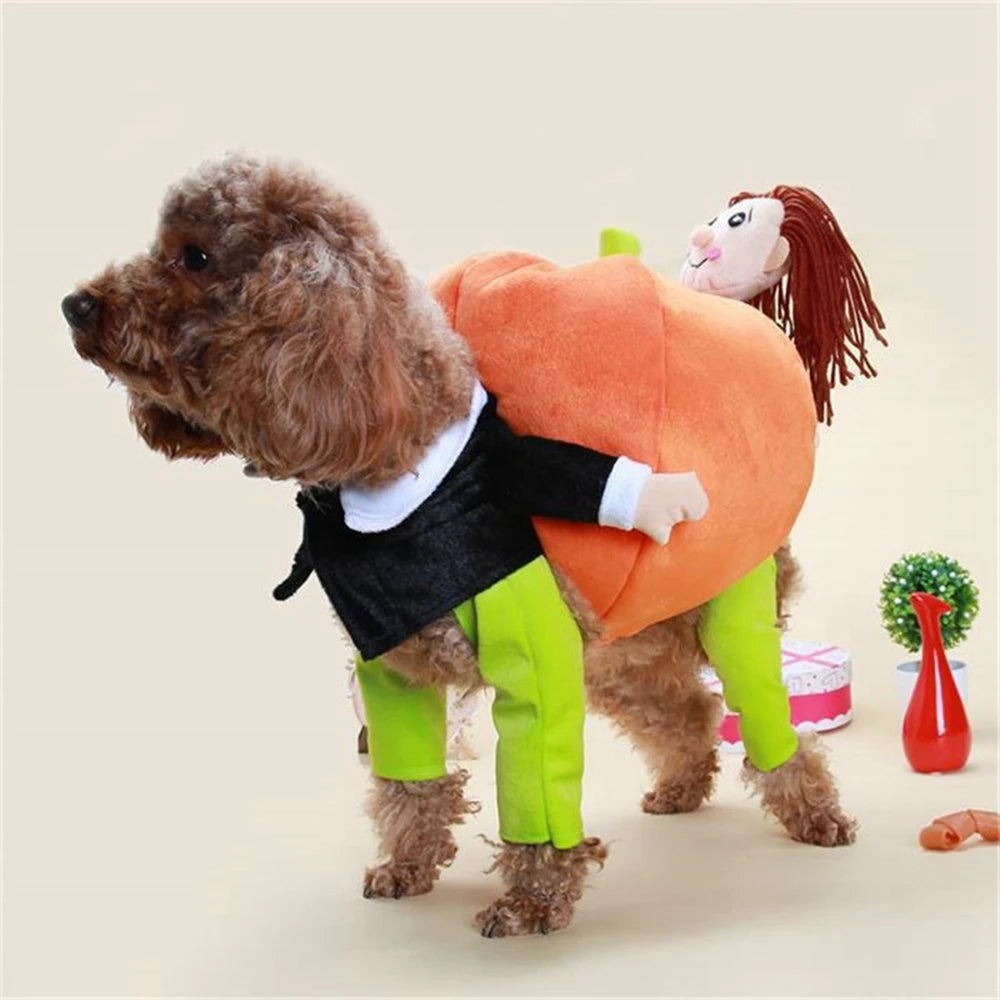 Pumpkin Pet Cosplay Halloween Costume