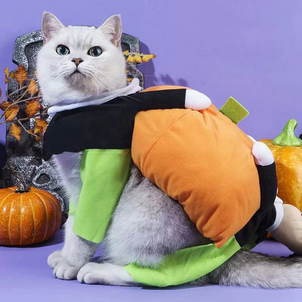 Pumpkin Pet Cosplay Halloween Costume