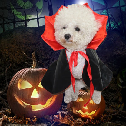 Vampire Pet Halloween Costume