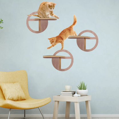 Wall Mounted Cat Ladder