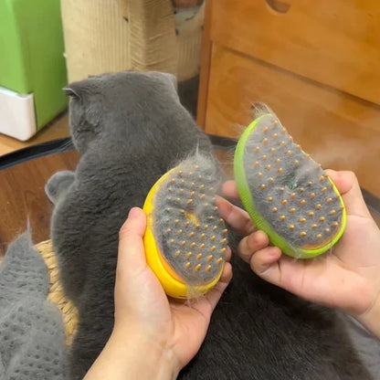 Cat Steam Brush Comb and Massage