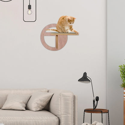 Wall Mounted Cat Ladder